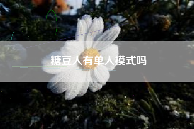 糖豆人有单人模式吗