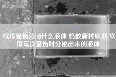 砍瓜受伤分泌什么液体 蚂蚁新村砍瓜(砍瓜每次受伤时分泌出来的液体)