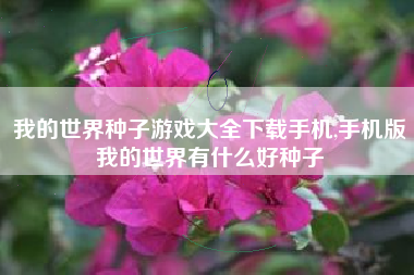 我的世界种子游戏大全下载手机,手机版我的世界有什么好种子