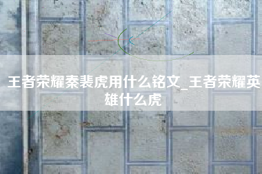 王者荣耀秦裴虎用什么铭文_王者荣耀英雄什么虎