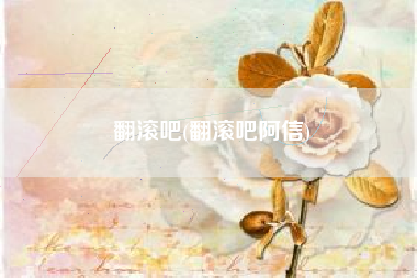 翻滚吧(翻滚吧阿信)