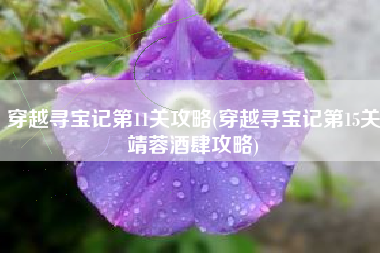 穿越寻宝记第11关攻略(穿越寻宝记第15关靖蓉酒肆攻略)