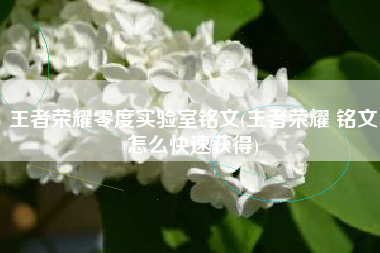 王者荣耀零度实验室铭文(王者荣耀 铭文怎么快速获得)