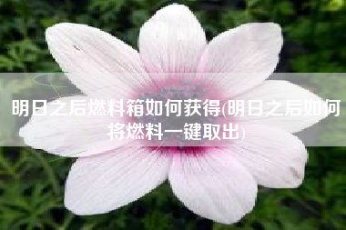 明日之后燃料箱如何获得(明日之后如何将燃料一键取出)