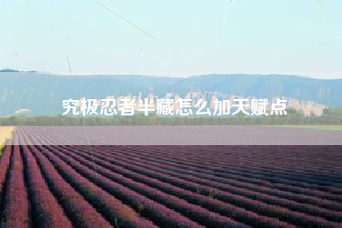 究极忍者半藏怎么加天赋点