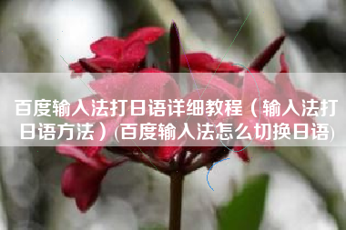 百度输入法打日语详细教程（输入法打日语方法）(百度输入法怎么切换日语)