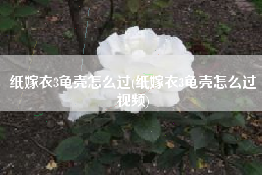 纸嫁衣3龟壳怎么过(纸嫁衣3龟壳怎么过视频)