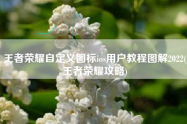 王者荣耀自定义图标ios用户教程图解2022(王者荣耀攻略)