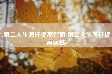 第二人生怎样提高智商(第二人生怎样提高属性)
