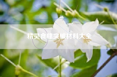 精灵食肆突破材料大全