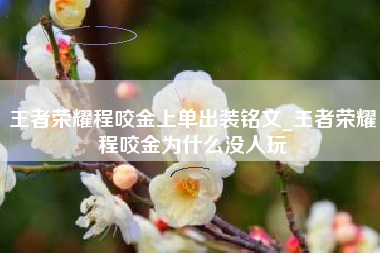 王者荣耀程咬金上单出装铭文_王者荣耀程咬金为什么没人玩