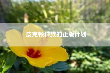 皮克顿种族的正版计划