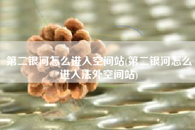 第二银河怎么进入空间站(第二银河怎么进入法外空间站)