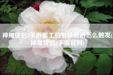 神雕侠侣2手游罢工的雪猿奇遇怎么触发(神雕侠侣2手游官网)