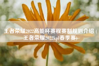 王者荣耀2022高能杯赛程赛制规则介绍 (王者荣耀2022kpl春季赛)