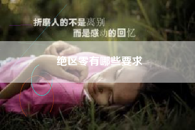 绝区零有哪些要求