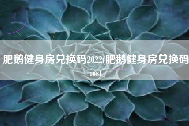 肥鹅健身房兑换码2022(肥鹅健身房兑换码ios)