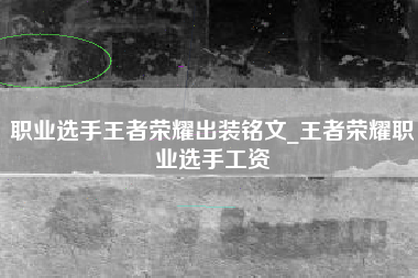 职业选手王者荣耀出装铭文_王者荣耀职业选手工资