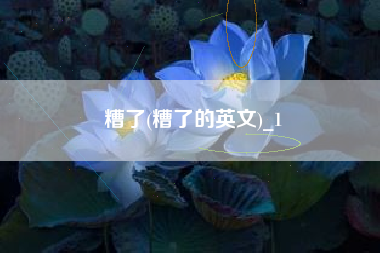 糟了(糟了的英文)_1