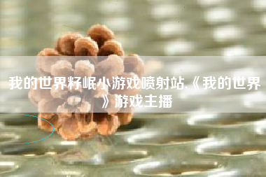 我的世界籽岷小游戏喷射站,《我的世界》游戏主播