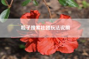粒子搜索社团玩法说明
