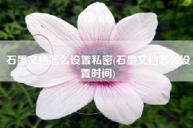 石墨文档怎么设置私密(石墨文档怎么设置时间)