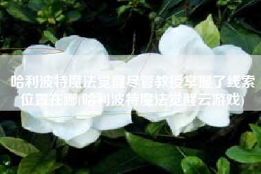哈利波特魔法觉醒尽管教授掌握了线索位置在哪(哈利波特魔法觉醒云游戏)