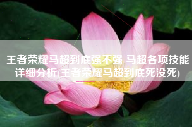 王者荣耀马超到底强不强 马超各项技能详细分析(王者荣耀马超到底死没死)