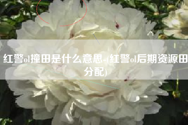 红警ol撞田是什么意思-(红警ol后期资源田分配)