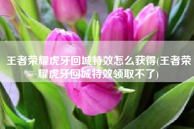王者荣耀虎牙回城特效怎么获得(王者荣耀虎牙回城特效领取不了)
