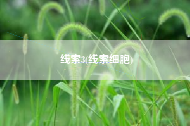 线索3(线索细胞)