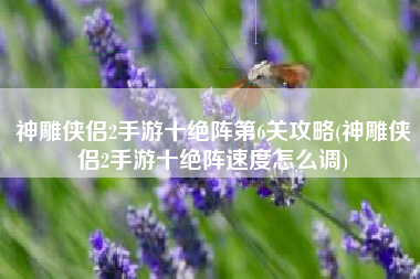 神雕侠侣2手游十绝阵第6关攻略(神雕侠侣2手游十绝阵速度怎么调)
