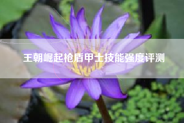 王朝崛起枪盾甲士技能强度评测