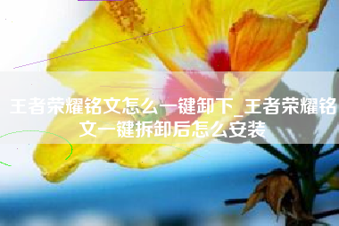 王者荣耀铭文怎么一键卸下_王者荣耀铭文一键拆卸后怎么安装