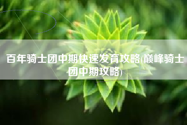 百年骑士团中期快速发育攻略(巅峰骑士团中期攻略)