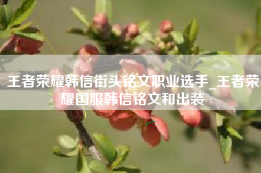 王者荣耀韩信街头铭文职业选手_王者荣耀国服韩信铭文和出装