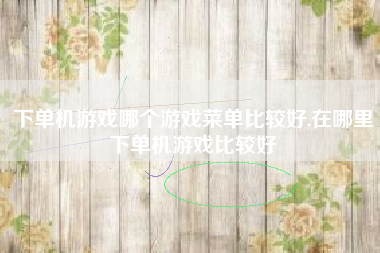 下单机游戏哪个游戏菜单比较好,在哪里下单机游戏比较好