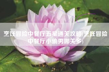烹饪冒险中餐厅五星通关攻略(烹饪冒险中餐厅小偷男哪关多)