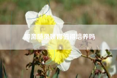 聊斋随录娇娜值得培养吗