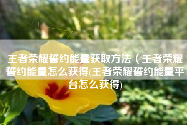 王者荣耀誓约能量获取方法（王者荣耀誓约能量怎么获得(王者荣耀誓约能量平台怎么获得)