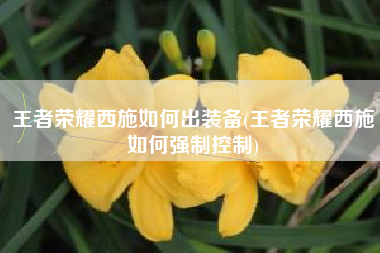 王者荣耀西施如何出装备(王者荣耀西施如何强制控制)