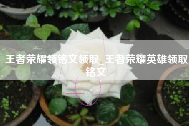 王者荣耀领铭文领取_王者荣耀英雄领取铭文