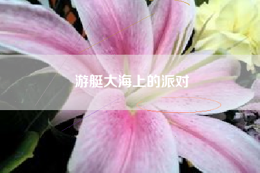 游艇大海上的派对