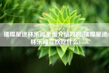 璀璨星途林乐闻全面介绍攻略(璀璨星途林乐闻喜欢吃什么)