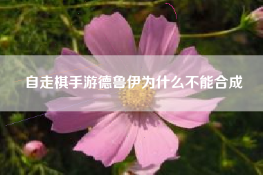 自走棋手游德鲁伊为什么不能合成