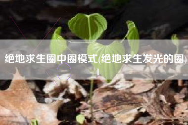 绝地求生圈中圈模式(绝地求生发光的圈)_1
