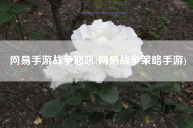 网易手游战争怒吼(网易战争策略手游)