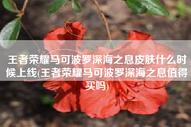王者荣耀马可波罗深海之息皮肤什么时候上线(王者荣耀马可波罗深海之息值得买吗)