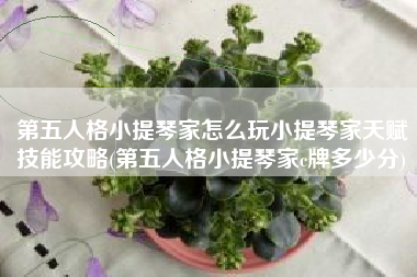 第五人格小提琴家怎么玩小提琴家天赋技能攻略(第五人格小提琴家c牌多少分)