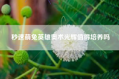 秒速萌兔英雄奥术光辉值得培养吗